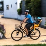 Велосипед с велокреслом в аренду [app][site]